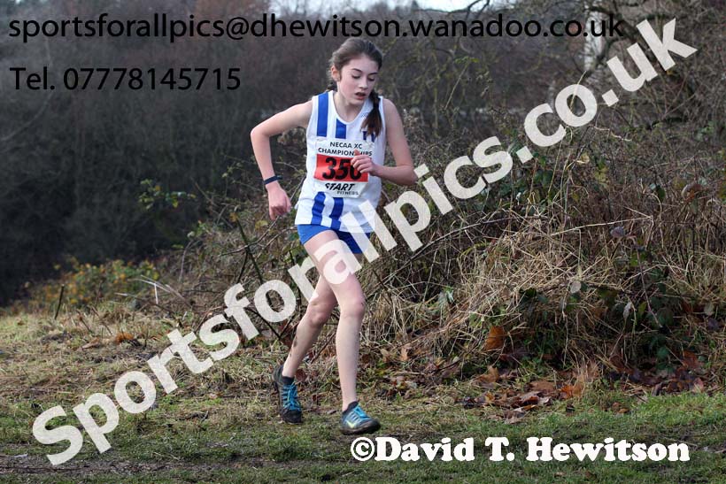 Girls under-15s North Eastern Cross Country, Aykley Heads, Durham. Photo: David T. Hewitson/Sports for All Pics